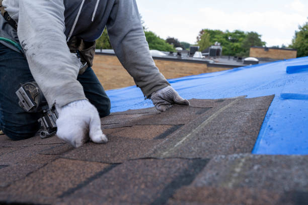 Fast & Reliable Emergency Roof Repairs in Virginia Beach, VA
